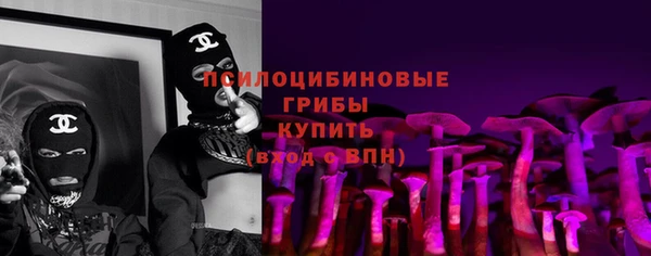 шишки Балахна