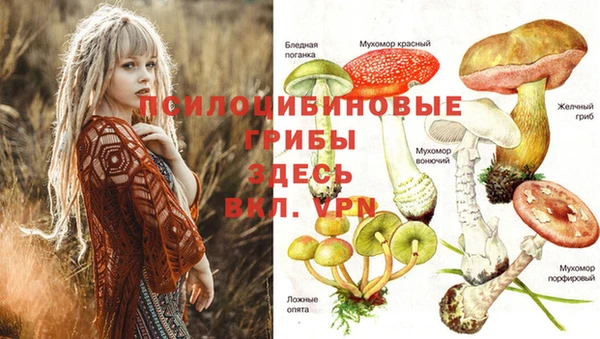 шишки Балахна