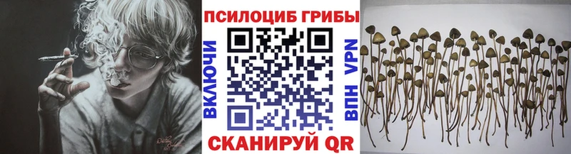 Псилоцибиновые грибы прущие грибы  Сунжа 
